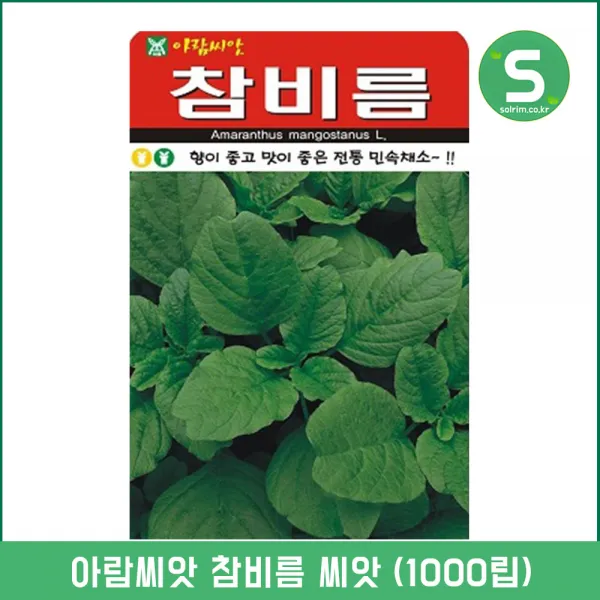 AR 참비름씨앗 1000립 참비름 재래종 산나물 씨앗