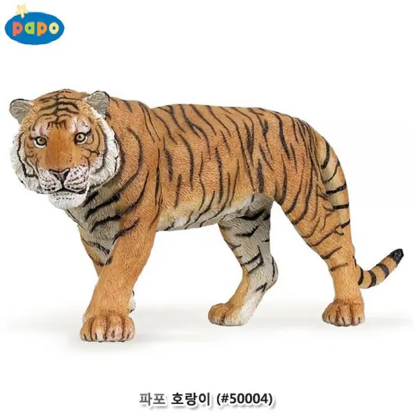 파포 교육용모형 연체동물장난감 피규어장난감