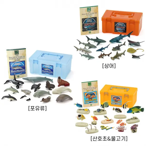 COLORATA 피규어 입체도감 리얼 피규어 박스 3종 / COLORATA Real Figure Box, 산호초-물고기
