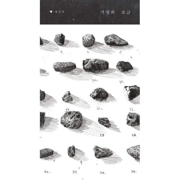 거짓의 조금, 책읽는수요일, 유진목
