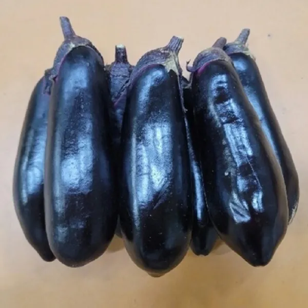 [한스푼푸드] 가지 3kg 5kg ﻿크기는 차이가 날 수 있습니다.