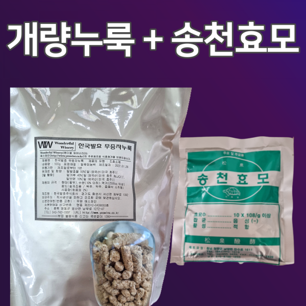 쌀누룩 쌀입국 1kg (쌀입국+송천효모)