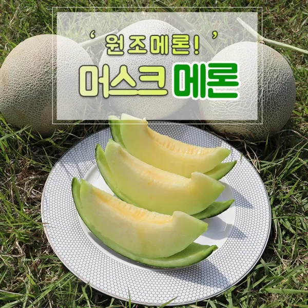 국내산 머스크메론 5 - 6 과, 옵션없음, 옵션없음