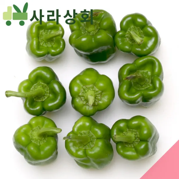 사라상회 청피망 5kg 상 1박스