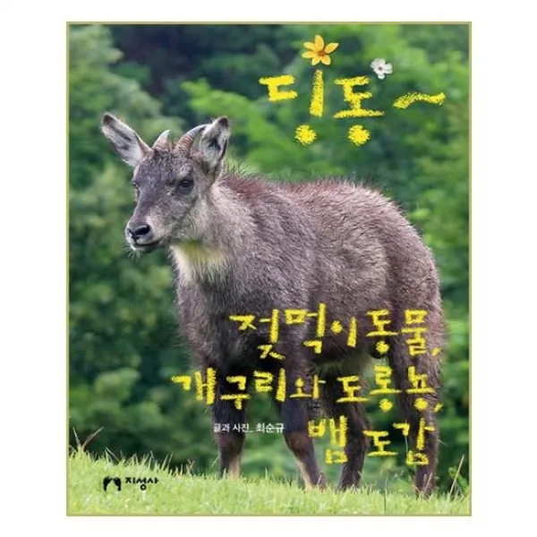 [지성사]딩동 젖먹이 동물 개구리와 도롱뇽 뱀 도감