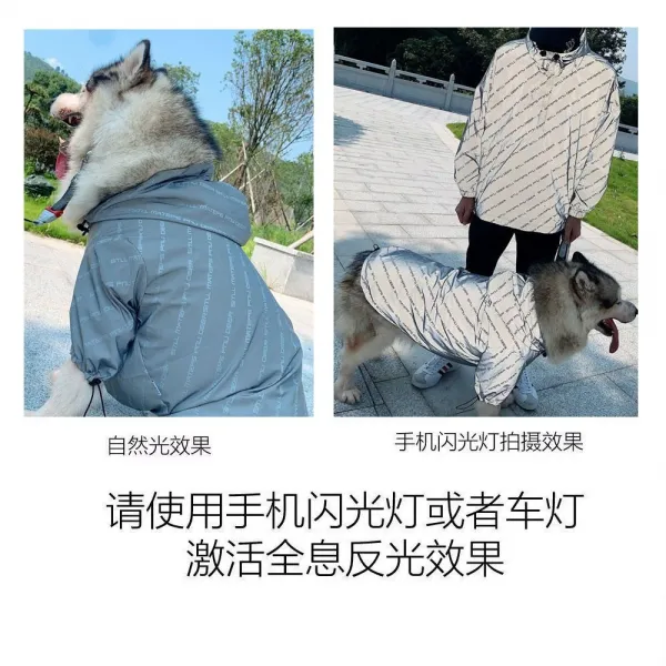 코린 애완옷 몹시 당황하다 예봉 팔찌 컵 스트리트 러너 브라도 빅타입 골드 튀기다 중형 리플렉터 애완동물 펫 견법 얇은, 이니셜 리플렉터 솜을 끼임, 6XL