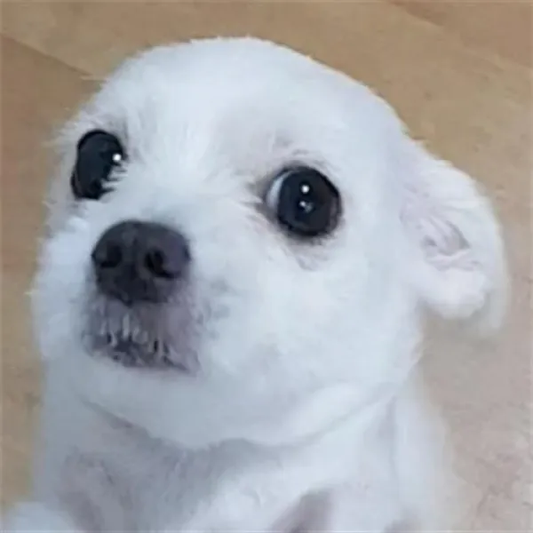 사은품+계속 가보겠습니다 (임은정 지음), 단일상품