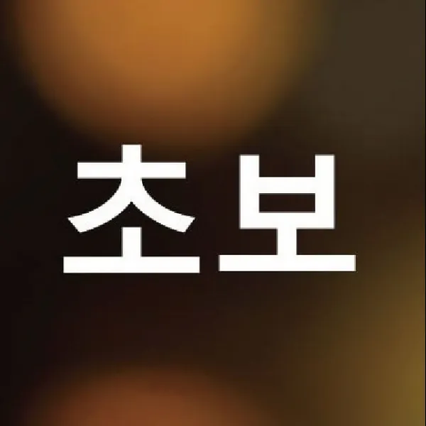 반들디자인 초보고딕체(반사지)자동차 운전스티커, 반사지