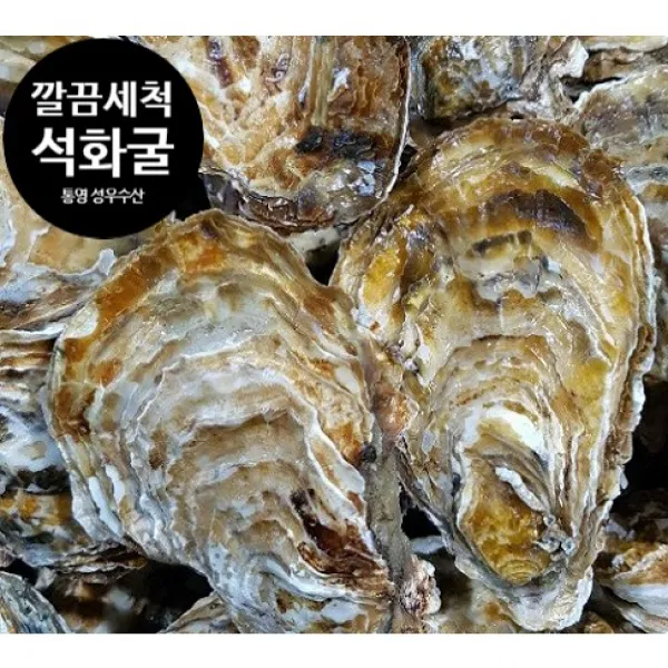(가열조리용)석화,각굴,통굴 5Kg,10Kg,15Kg,20Kg/개체굴/개체굴하프/가리비/자연산뿔소라/생굴/생산자산지직송/통영 성우수산