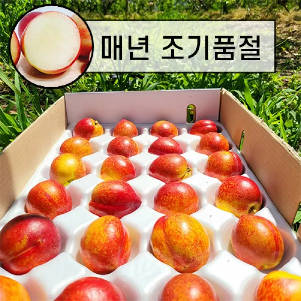 [백프로 품질보증제] 신비복숭아 산지직송 품절임박, 1kg 중대과