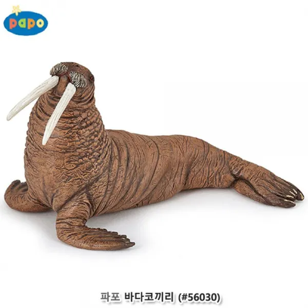 파포 바다코끼리 실사화 동물 피규어 아동선출 동물인형