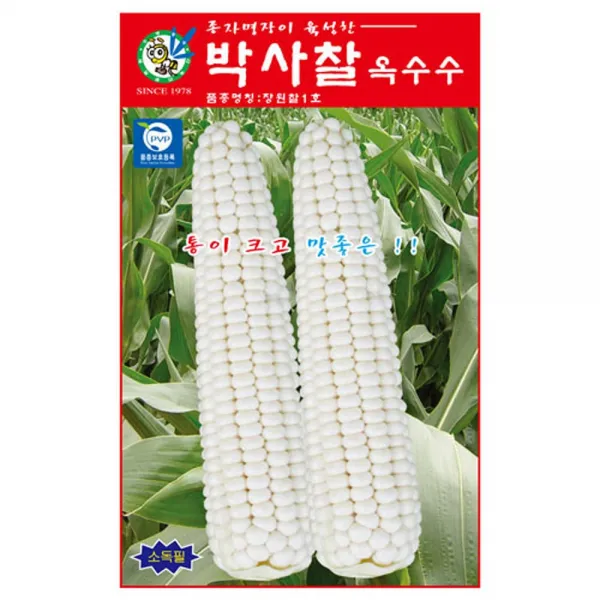 한누리팜마트 제일종묘 박사찰1호옥수수 80립, 1개