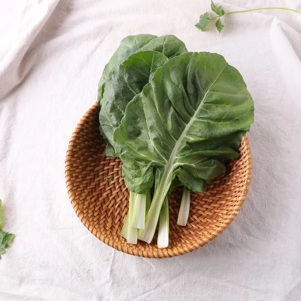 맛딜 [당일수확발송]최숭영님의 쌈용/국거리용 근대 200g