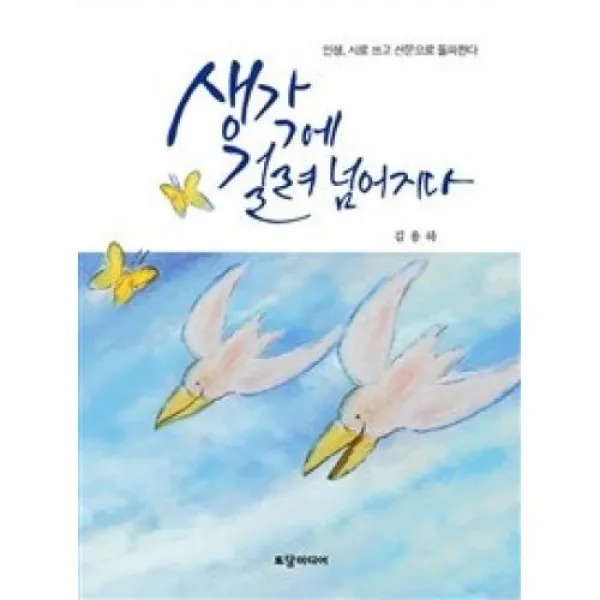 생각에 걸려 넘어지다, 토담미디어