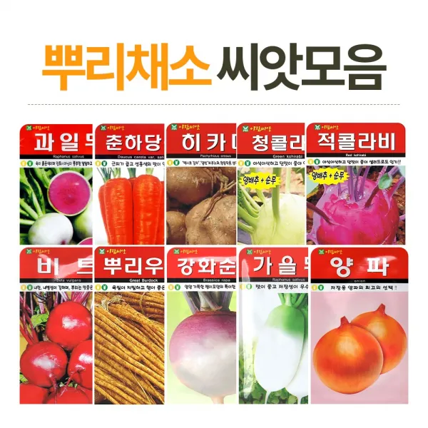 뿌리채소 씨앗, 과일무
