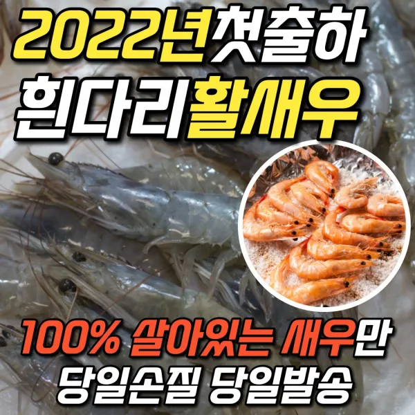 [2022년첫출하] 국산 흰다리 새우 활새우 1kg 2kg 생새우 대하새우 왕새우 캠핑 새우구이 구이용, 1. 활새우 1kg