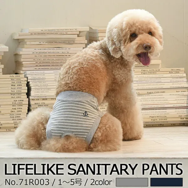팬티 산 티 아 라 파 미니 어 처 강아지 중형 견 라 이 프 like marinboara santari 반바지 1 ~ 5 호 여성 용 모체 생리 용 핫팬츠 매 너 상품 복 외출 숙박 여행, 1개, 상세설명참조 상품 문의는 상품 문의란에 적어주세요