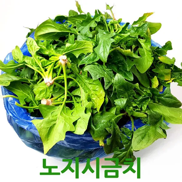 싱싱한 노지시금치2kg 4kg 시금치 싱싱지오, 노지시금치4kg