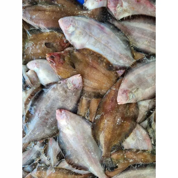 [주문진 명성수산] 남녀노소 모두 좋아하는 손질한 생물 가자미 / 12시이전 주문 당일발송, 10미