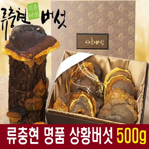 명품 국산 상환버섯 차 상황버섯원물 상황버섯차 목질 진흙상황버섯 뽕나무상황버섯 무농약 자연산 친환경 재배 류충현 약용버섯 버섯차 버섯 선물 세트, 1set, 500g
