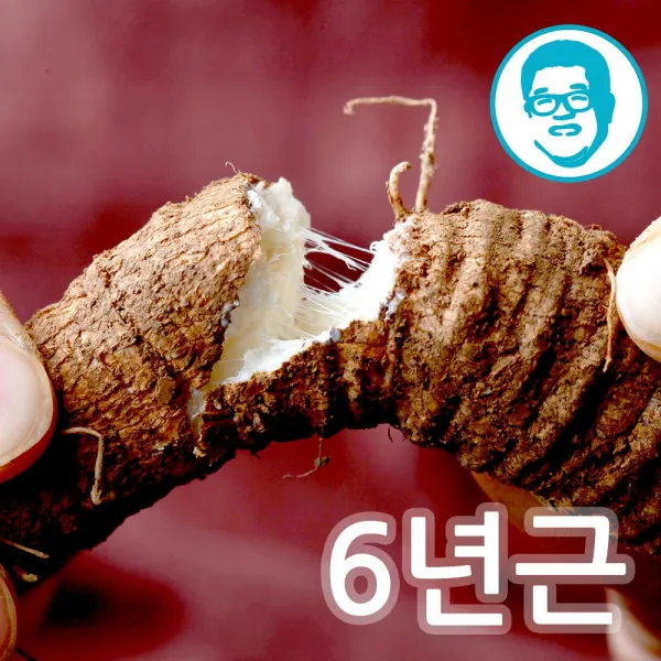 원도오빠 6년근 강원도 정선 산더덕 중품 1kg 1개 가정용 1키로 80개 이상 
