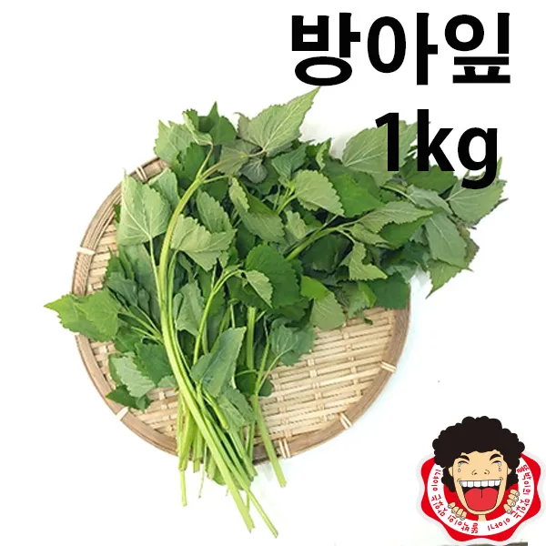 똘박이 방아잎1kg(1봉), 1봉, 1kg