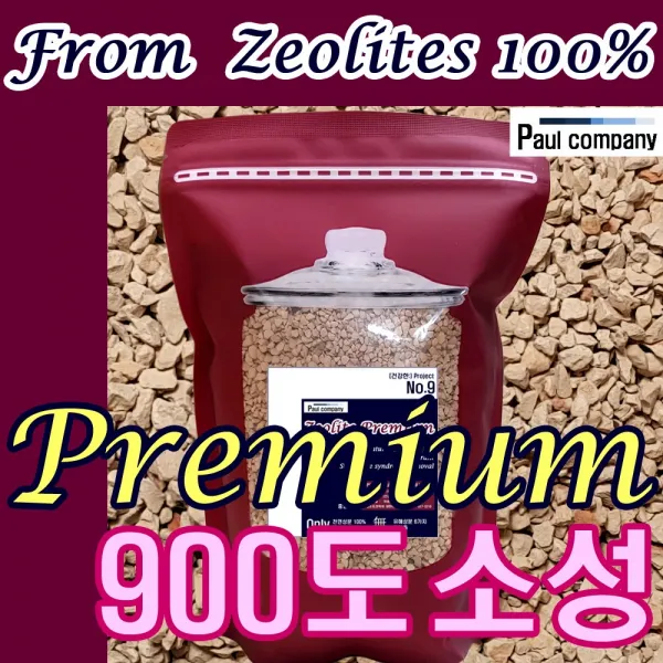 [폴컴퍼니] 제올라이트 Premium, 1개, 1kg