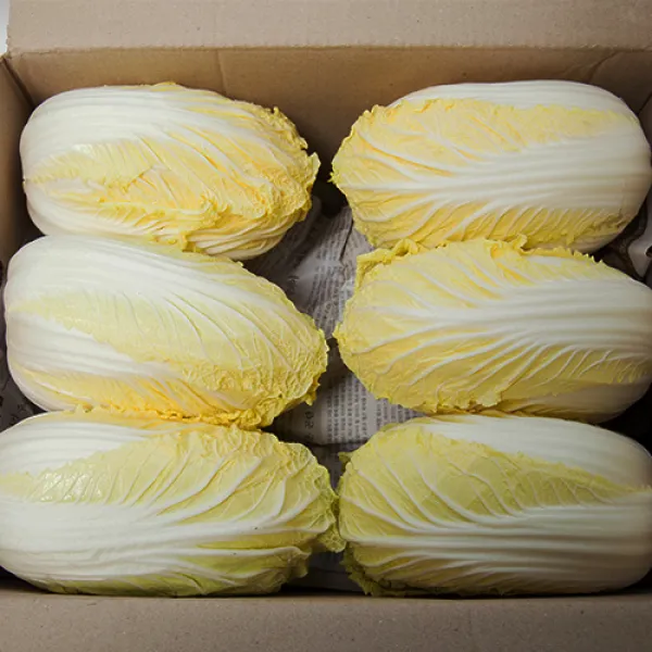  프레시팜 쌈채소 알배기 알배추 쌈배추 4kg 8kg