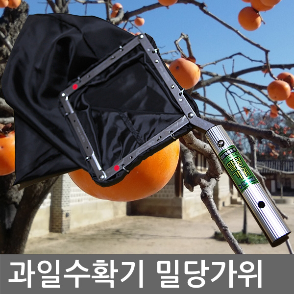 밀당가위 과일수확기 과수원가위 감따는기구 감따기망 망대.3m