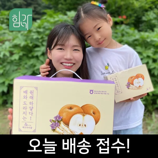 힘가네 도라지배즙 80ml x 40개입, 최고급 도라지배즙 1박스: 시즌 할인