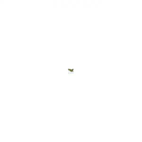 어린이 놀이터 대형 놀이터 실내 소형 놀이공원 대금전담