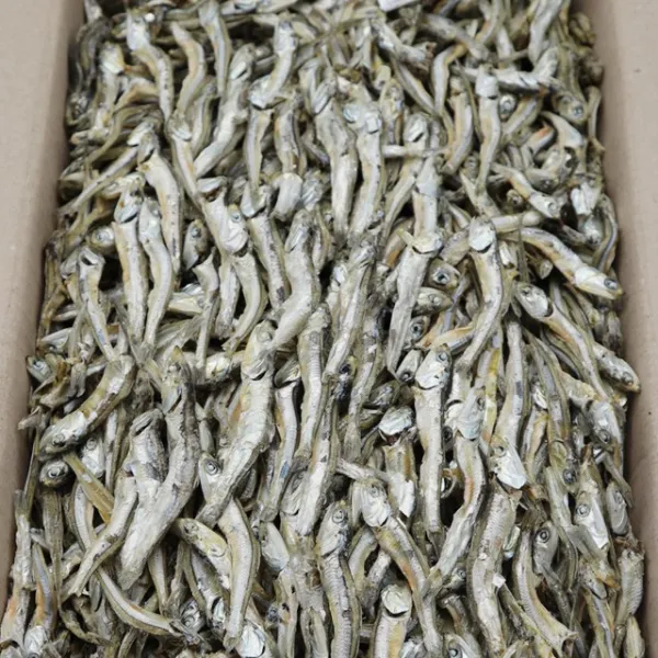 동해청정 햇고주바멸치 1.5kg(박스) 상품, 1박스, 1.5kg(특상)