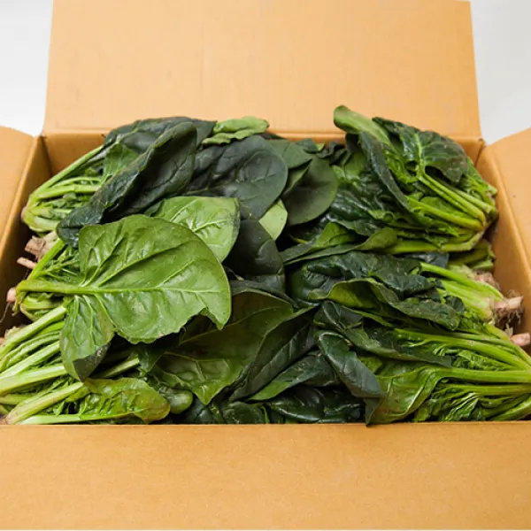 프레시팜 프레시팜 쌈채소 시금치 2kg 4kg 내외