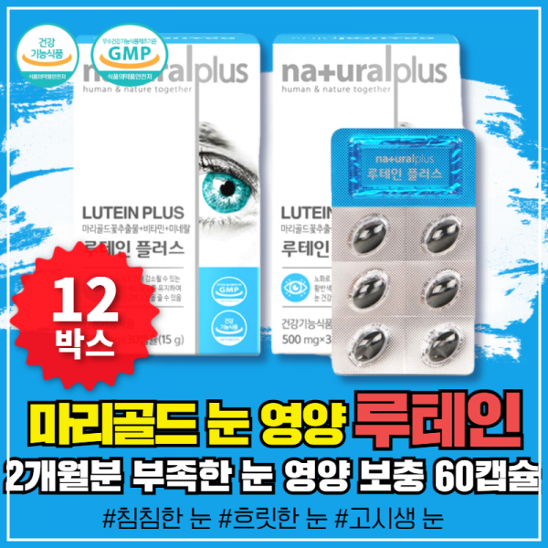 국산 루테인 흐릿한 선명한 눈 건강 에좋은 보조제 침침한 흐릿한 영양제 중년 장년 갱년기 여성 남성 30대 40대 50대 60대 청소년 부모님 할아버지 할머니 대용량 고함량 먹기 쉬운 눈 영양제 보충제 보조제 선물 추천 마리골드 꽃 추출물 루테인 12박스 묶음할인