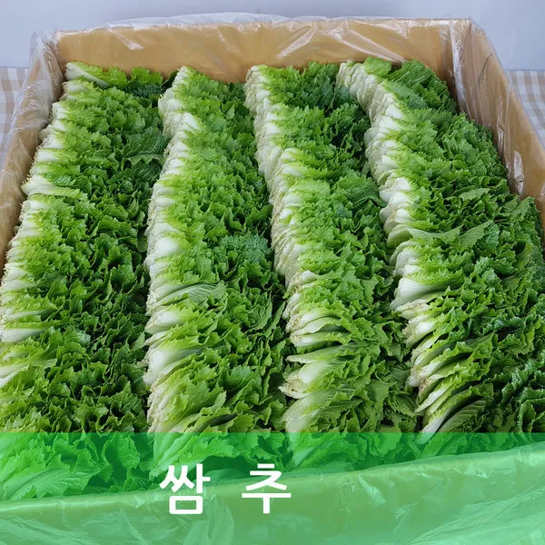 쌈추 국내산 쌈추 2kg 행복한식탁, 단일상품