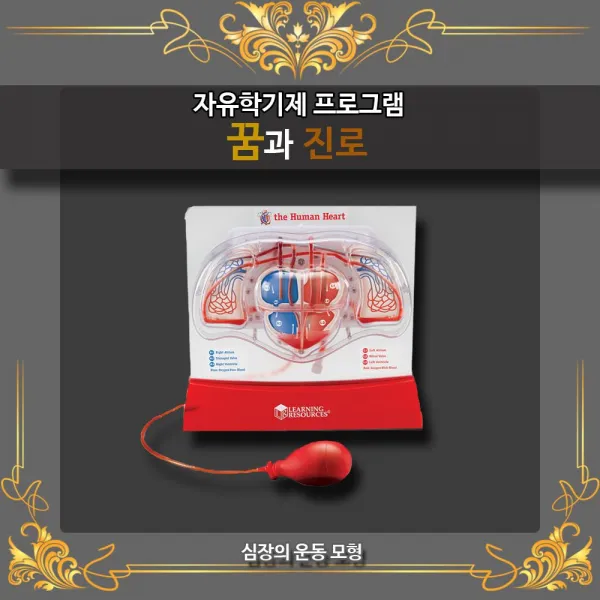 ac46633; 자유학기제 꿈과진로 두근두근 심장 운동 모형 :op_how# 인체모형 인체탐구 심장모형 심장탐구