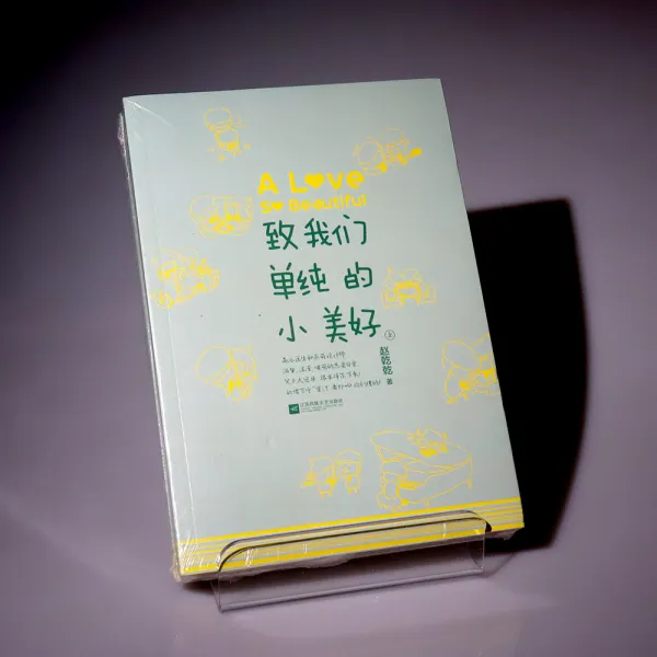 국내배송 중국어 원서 치아문단순적소미호 아름다웠던 우리에게