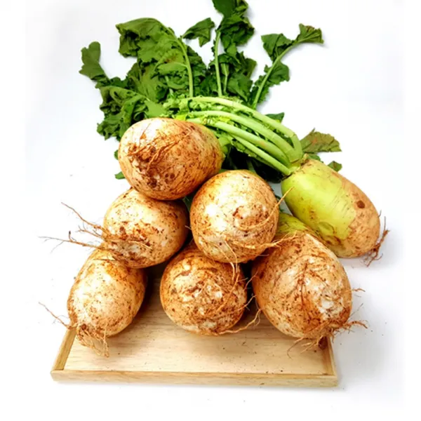 싱싱한 다발무 7kg내외 동치미무 가을무 싱싱지오 다발무7kg내외 김장용무 5 7수 