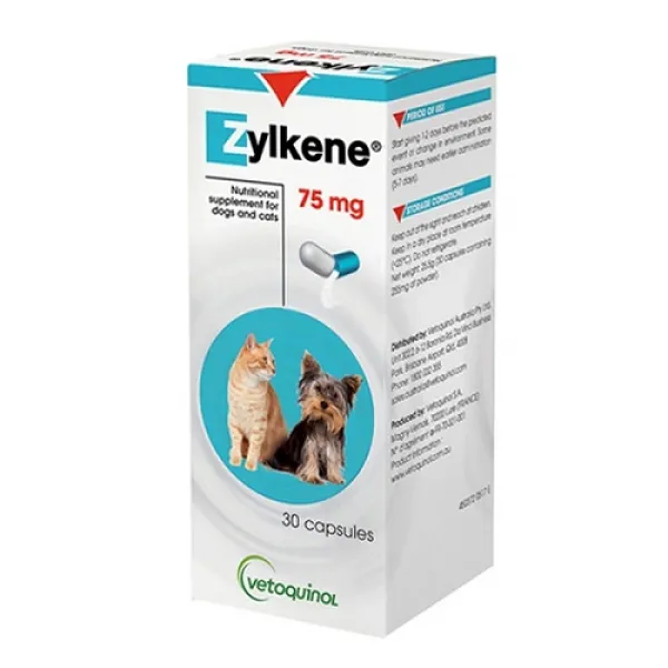 베토퀴놀 질켄 30p 강아지 고양이 스트레스 완화보조제 사은품증