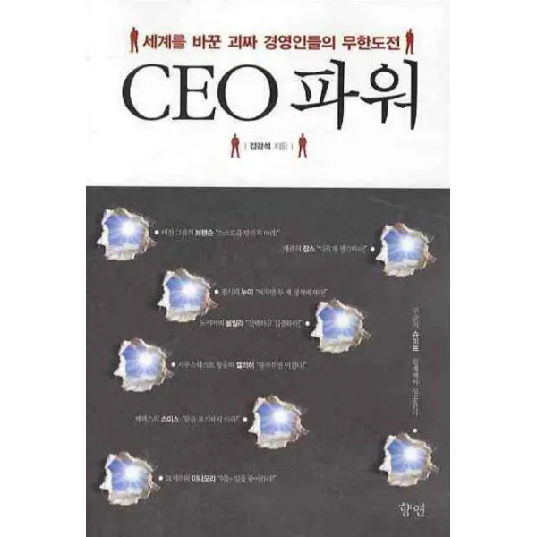 CEO 파워:세계를 바꾼 괴짜 경영인들의 무한도전, 향연