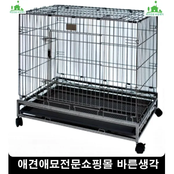 운동좋아하는고양이활동력증진장난감 아기고양이장난감 고양이낚시 고양이용품샵, 1개