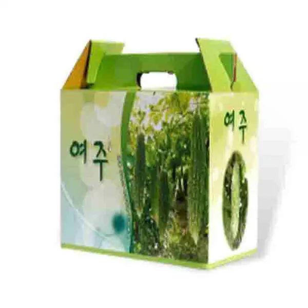 여우지기 국내산 여주즙 국산여주100% 쓴오이 비터멜론 식물인슐린 아미노산 여주진액, 100ml 60포, 3개