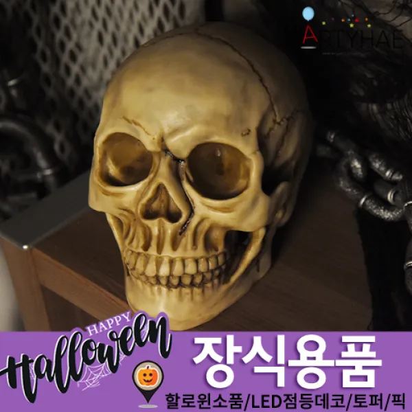 (주)파티해 할로윈 장식2 E-H - 분장소품, H10_고급해골모형(두개골)