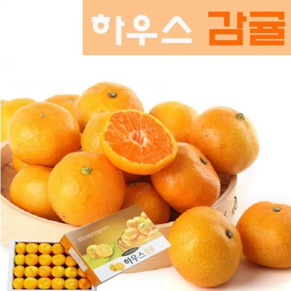참과일 국내산 하우스 감귤 3.0kg 1박스 3.0kg 30~40과 