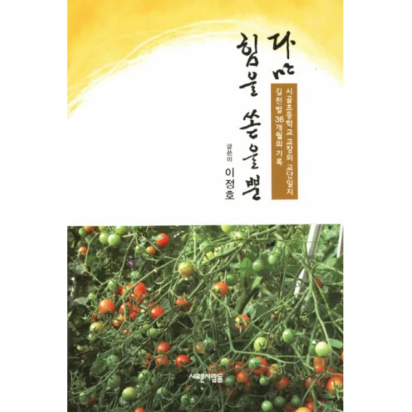 다만 힘을 쏟을 뿐:시골초등학교 교장의 교단일지 길천벌 36개월의 기록, 새로운사람들