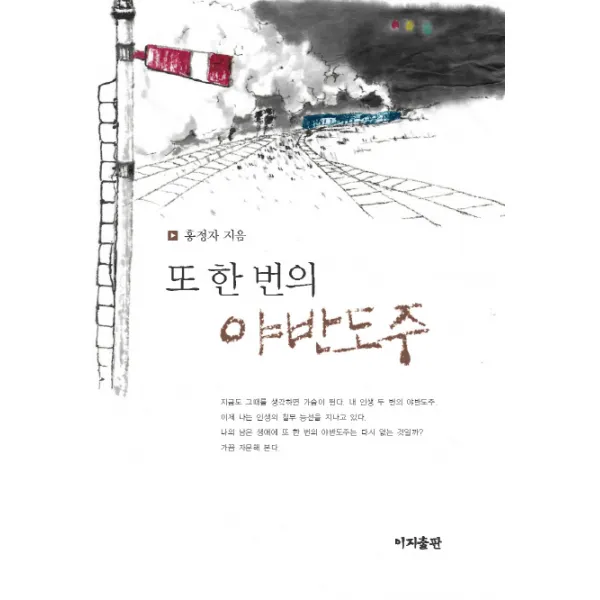 또 한 번의 야반도주:홍정자 수필집, 이지출판사