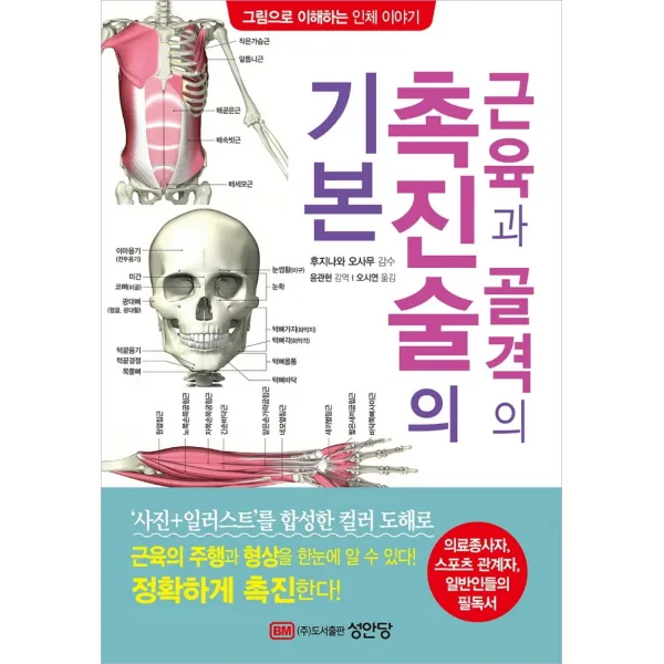 근육과 골격의 촉진술의 기본:의료종사자, 스포츠 관계자, 일반인들의 필독서, 성안당, 후지나와 오사무