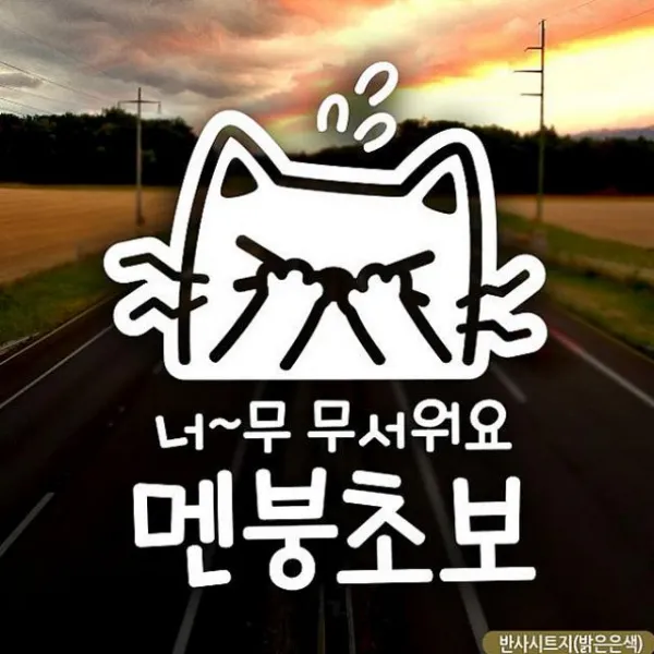 코코마트 너무 무서워요 멘붕초보 초보운전스티커 반사 차량용 스티커