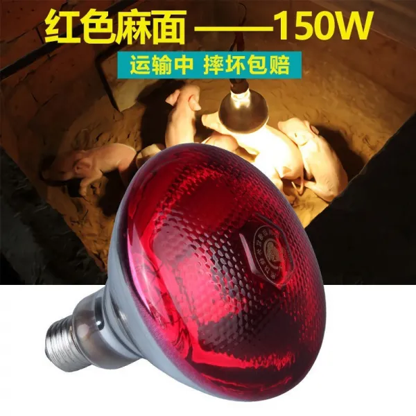 다섯 파충류적외선램프 두꺼운 목축 양식 병아리 어린돼지 가열 에너지 절약등 사용 난방, 5세대 레드 마면 （10 개입 ）_1