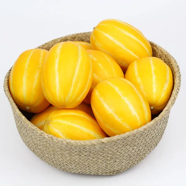 푸드마인 경북 성주 박증자님의 꿀 참외, 1박스, 3kg(10-15과)